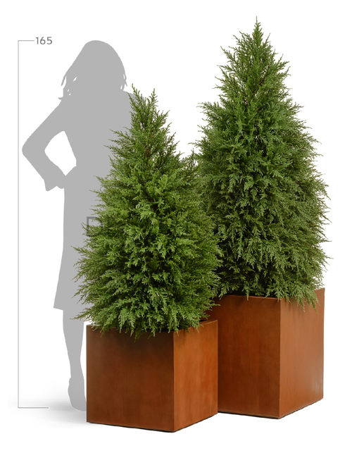 Кашпо TREEZ Effectory Corten Steel Куб Бархатистая окись 40х40х40 см 41.33-10-21-061-CS-40