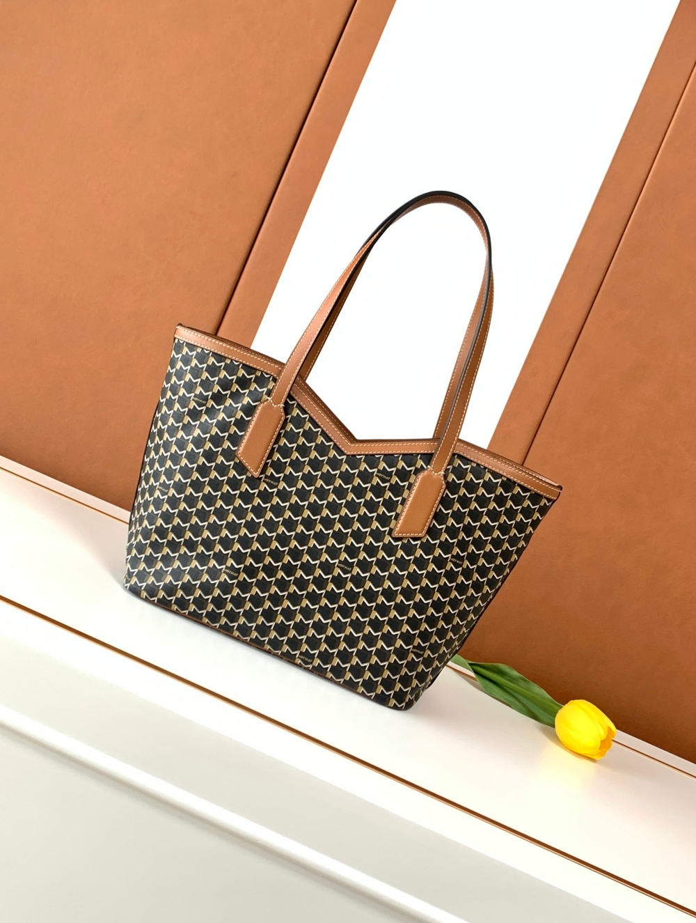 Moynat M Tote PM