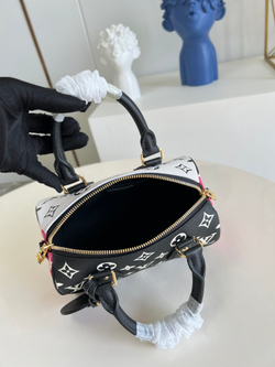 Louis Vuitton Speedy 20