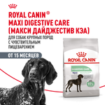 Royal Canin Maxi Digestive Care Макси Дайджестив кэа Корм сухой для взрослых собак больших размеров с чувствительным пищеварением 12кг