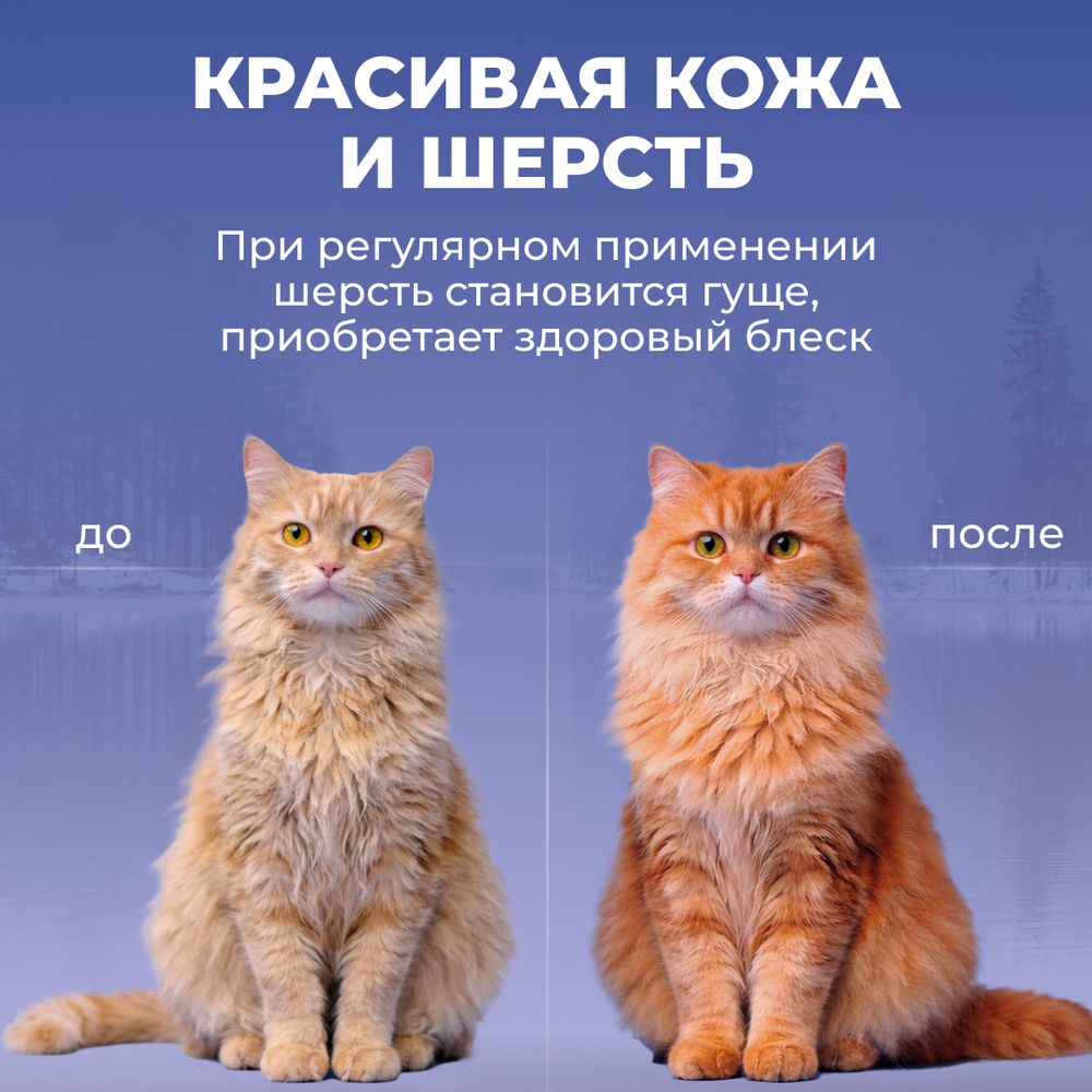 Масло лосося Jarvi для кошек и собак всех пород и возрастов