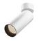 Потолочный светильник Maytoni Technical Ceiling FOCUS LED C055CL-L20W2.7-3-4K-M-W