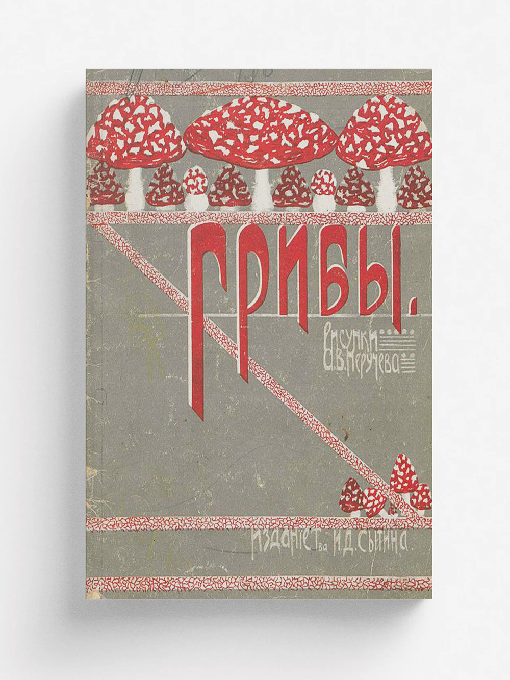 Грибы. Русская народная песня | Нет автора