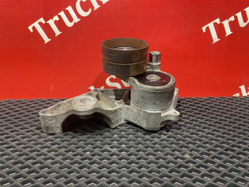 Ролик натяжитель в сборе 2019г