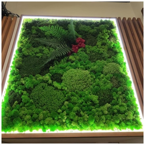 Комбинированное панно из мха с подсветкой