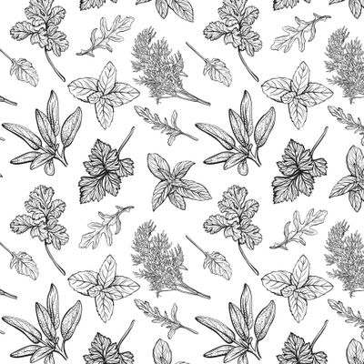 Итальянские травы,специи и приправы.Ботанический узор