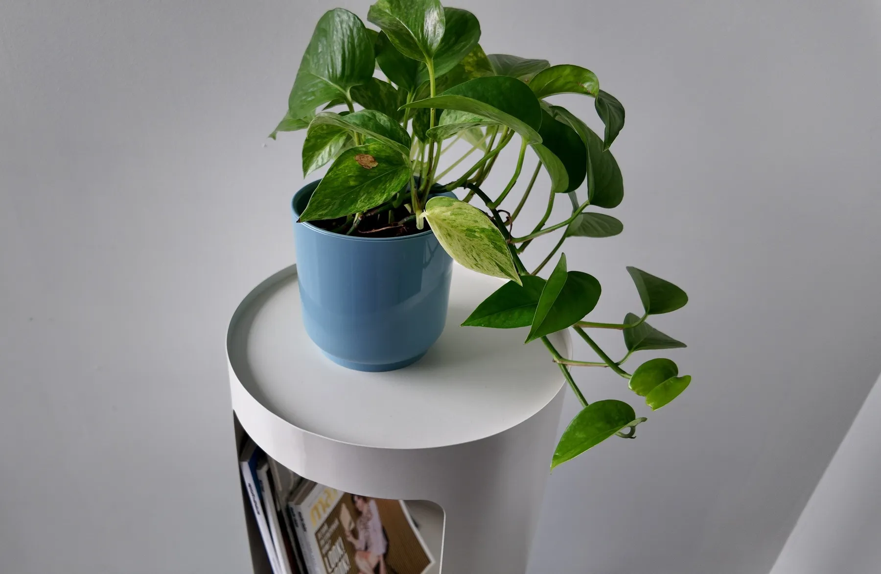 Gallery Item