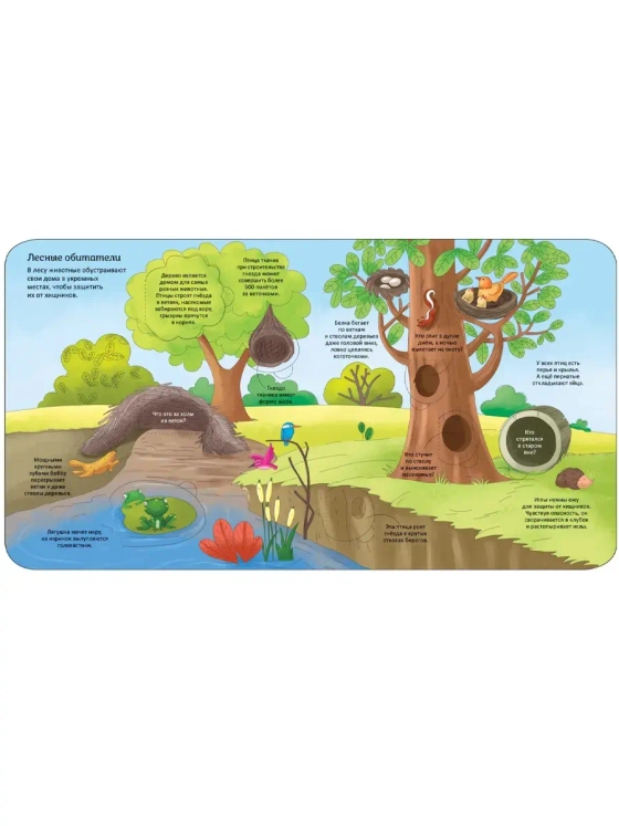 Энциклопедия с окошками Животные 10348897