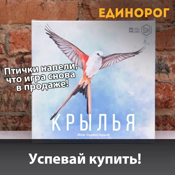 К нам прилетели «Крылья»