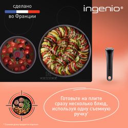 Набор посуды со съемной ручкой Tefal Ingenio Natural Force 5 предметов 16/20/22/28 см L3969053