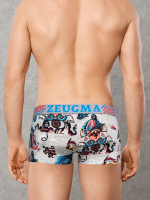 Стильные мужские хипсы с принтом Doreanse Zeugma (Размер: S) (Цвет: серый)