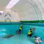 Пневмокаркасный ангар «Мастер 2» 7×5×3,5 м —  из ПВХ для ремонта и хранения техники