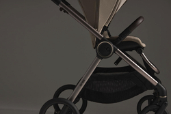 Детская коляска Anex iQ Premium NT 2 в 1 iQ-13-DNA seal