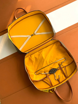Goyard Savile Row Garment Bag 54 cm