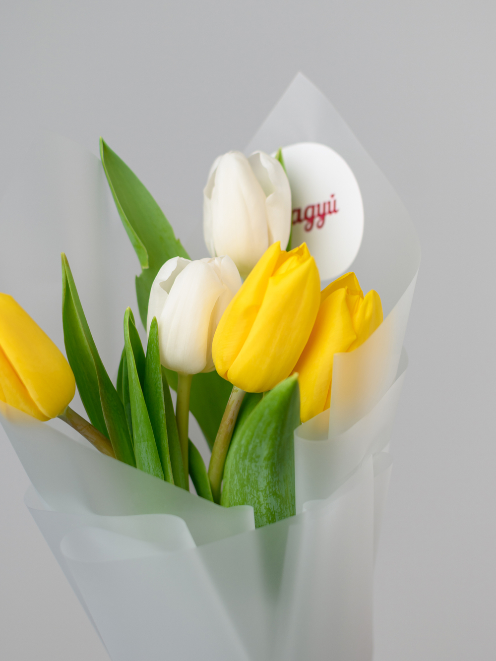 Тюльпаны микс