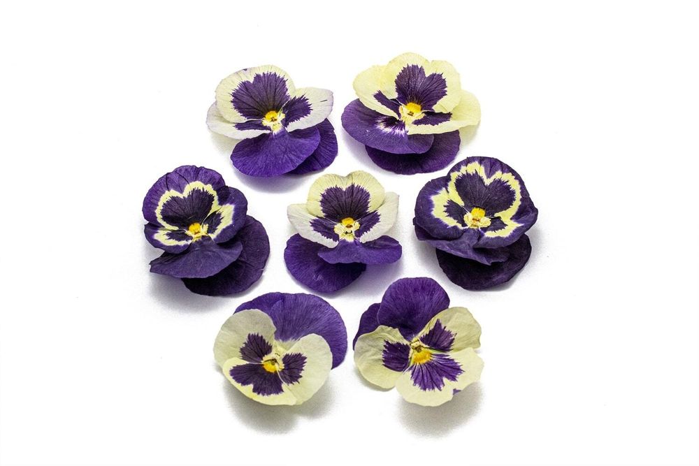 Виола обезвоженная Lilac sunset — объемный цветок 15 шт