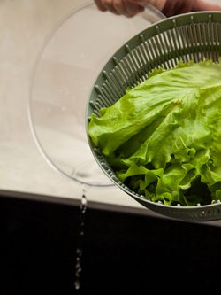 Электросушилка для салата Press&Dry, 3,5 л, шалфей