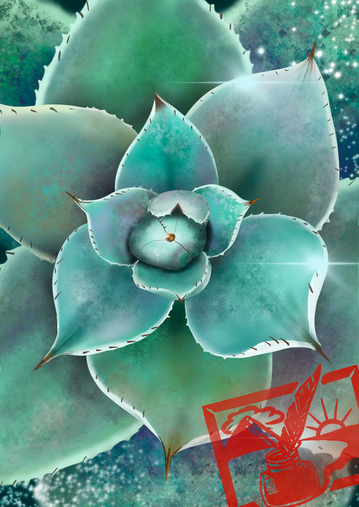 Изображение "Эхеверия"