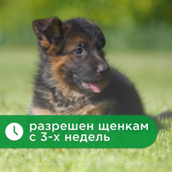 Антигельминтик широкого спектра действия АВЗ Альбен С, 6 таб. для кошек и собак, 1 таблетки/5 кг