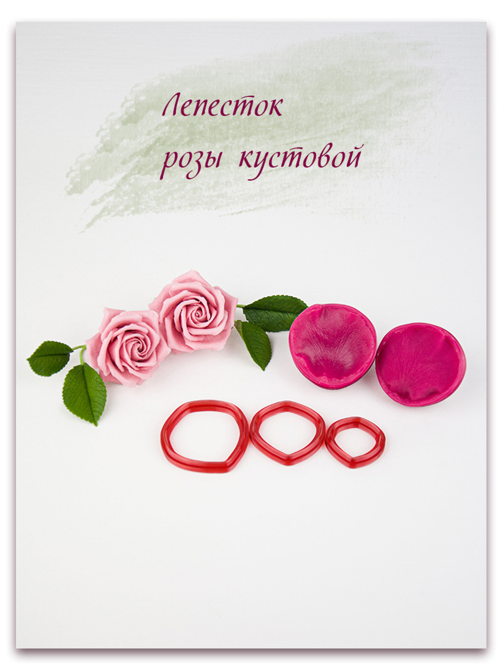 Лепесток розы кустовой