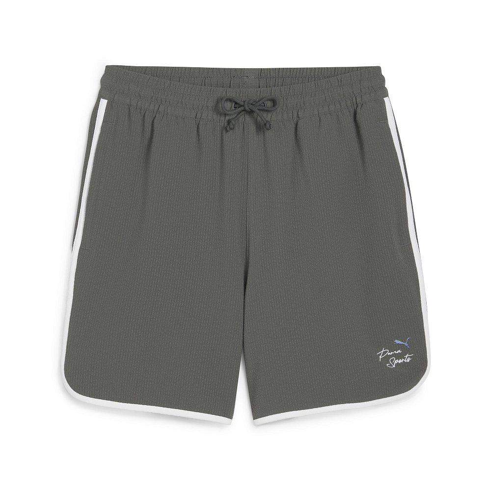 Мужские шорты PUMA TEAM Shorts