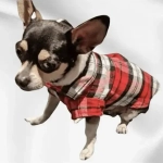 Кофта - рубашка фланелевая для мелких пород собак и кошек «BRO Style», цвет красный, р M