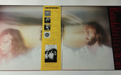 Винтажная виниловая пластинка LP Bee Gees Spirits Having Flown (Japan 1979) (Obi) Tragedy