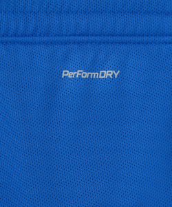 Шорты баскетбольные DIVISION PerFormDRY RBF 2S Shorts, синий