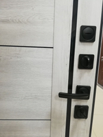 Дверь входная Грея Букле Графит/граф.бел.