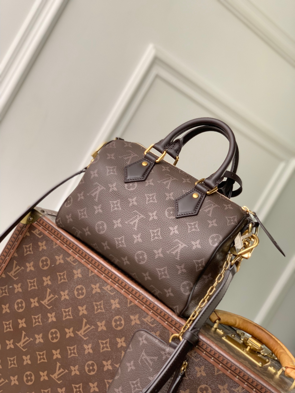 Louis Vuitton Speedy P9 Bandouliere 25