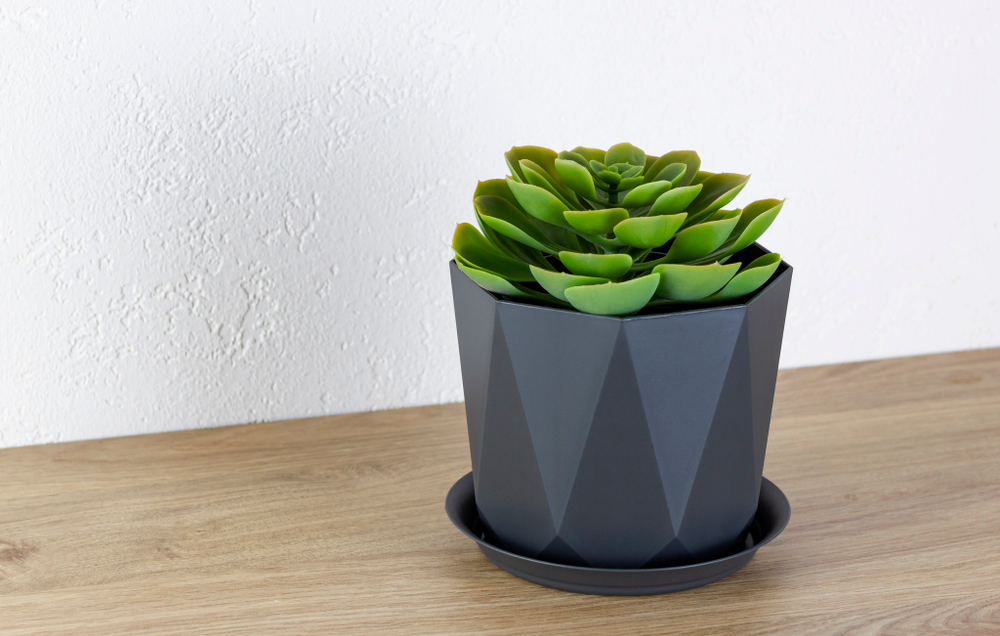 Кашпо ПРИЗМА D175мм 2,6л с поддоном М3138