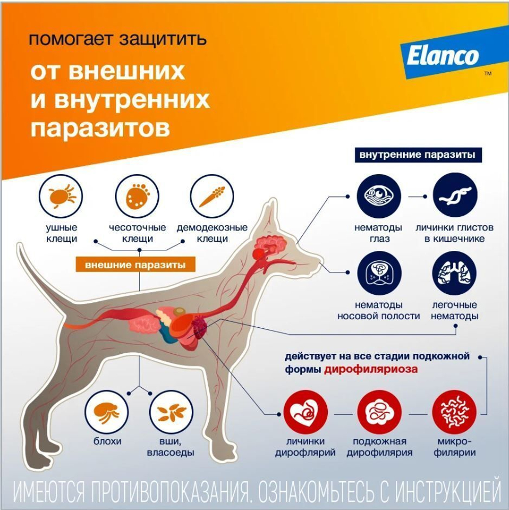 Капли на холку против блох, клещей и круглых гельминтов Elanco Адвокат для собак до 4кг, 3пипетка