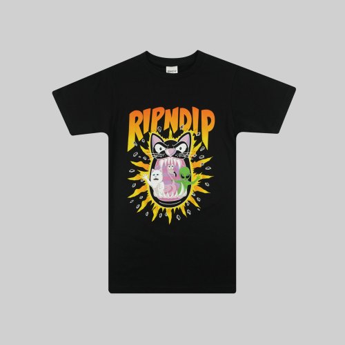 Футболка мужская Ripndip Hellavanight Tee артикул:RND7069 - купить в магазине Дайс