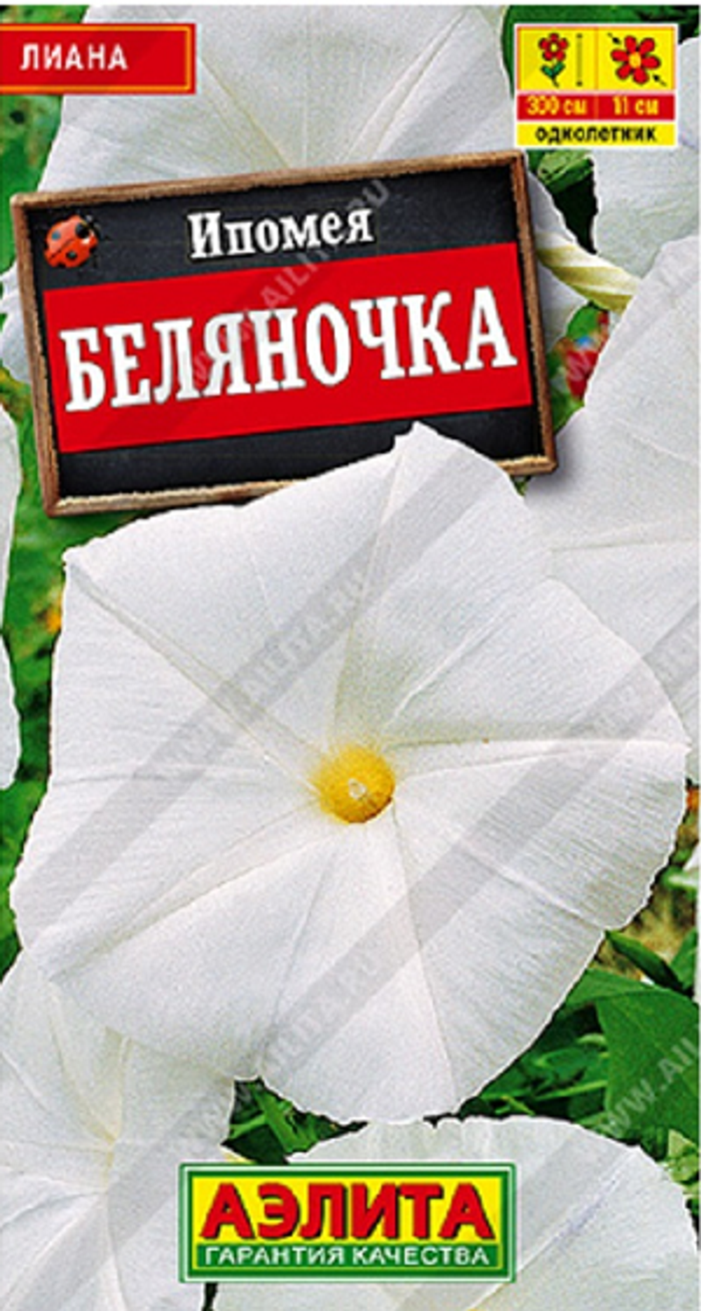 Ипомея Беляночка