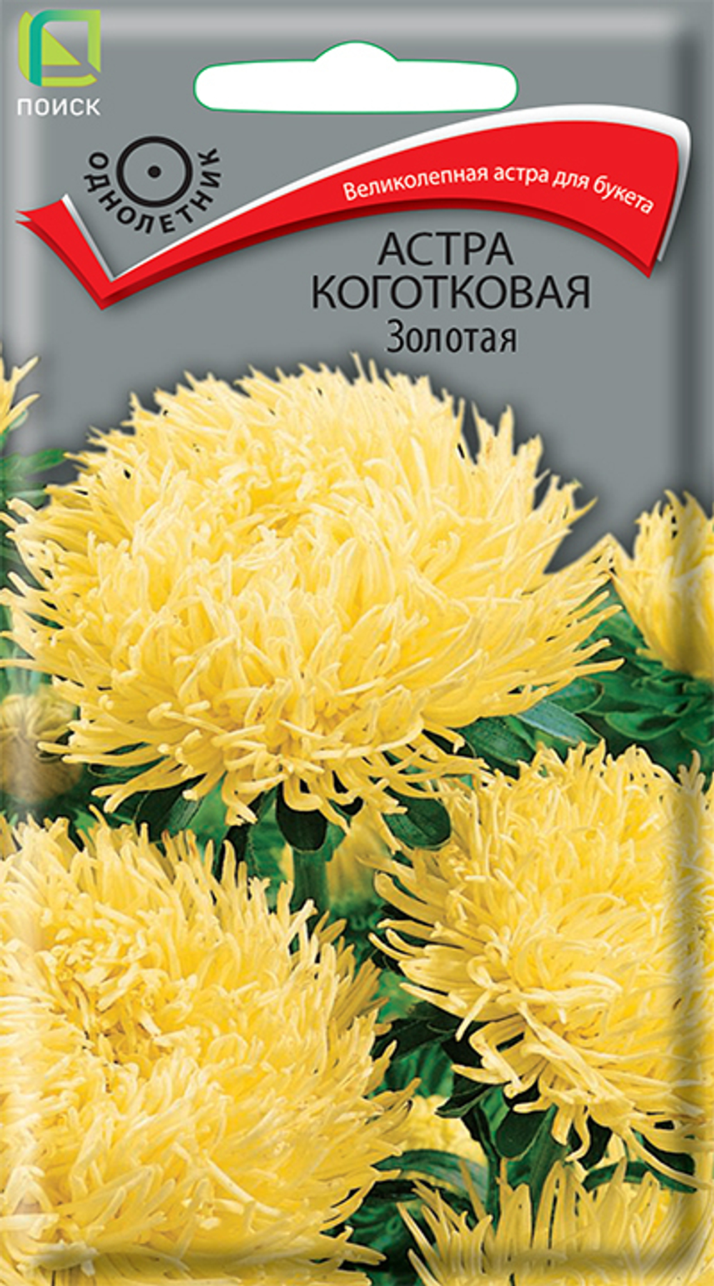 Астра коготковая Золотая