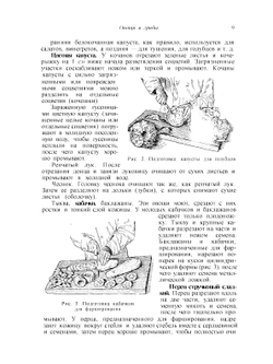 Кулинария | Л.А. Маслов