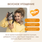 Лакомство для кошек "Здоровье и активность" хрустящие подушечки с курицей Мнямс 60 гр, 10 шт