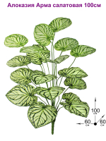Искусственное растение Алоказия Арма салатовая 100см