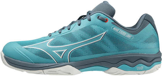 Кроссовки мужские Mizuno Wave Exceed Light All Court, арт. 61GA2218-32