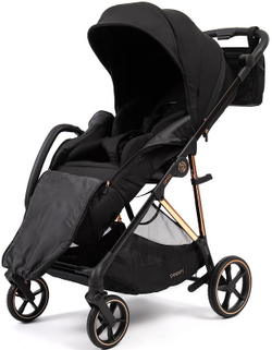 Прогулочная коляска Peppy Amici с автокреслом Verona Black Black рама Gold