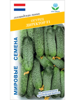 Семена огурцов Директор F1, 7 семян (Vita Green / Вита Грин)