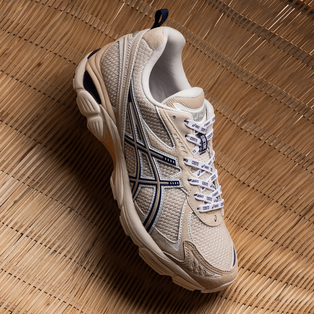 Кроссовки Costs x Asics GT-2160, 1201A938-250