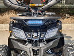 Lion 125 CC черный