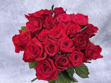 Тру Лав (True Love)