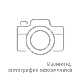 Электротрицикл RuTrike D5 1700 гидравлика (1200Вт, 60B)