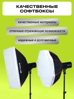 Комплект импульсного света Raylab Axio IV 250 Start Kit