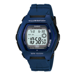 Часы CASIO HDD-600C-2A