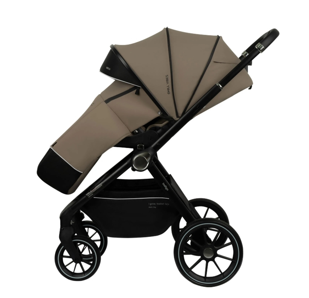 НОВИНКА! Коляска прогулочная Indigo GLOSS