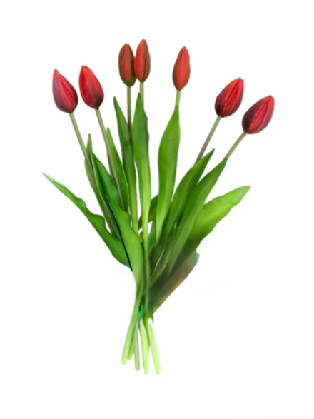 Букет закрытых тюльпанов 4+3 - Красный