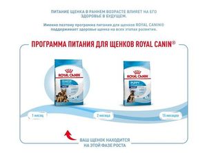 Корм для щенков крупных пород до 2-х месяцев и беременных сук, Royal Canin Maxi Starter Mother & Babydog